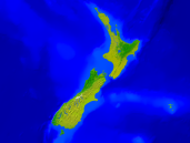 New Zealand Vegetation 1600x1200